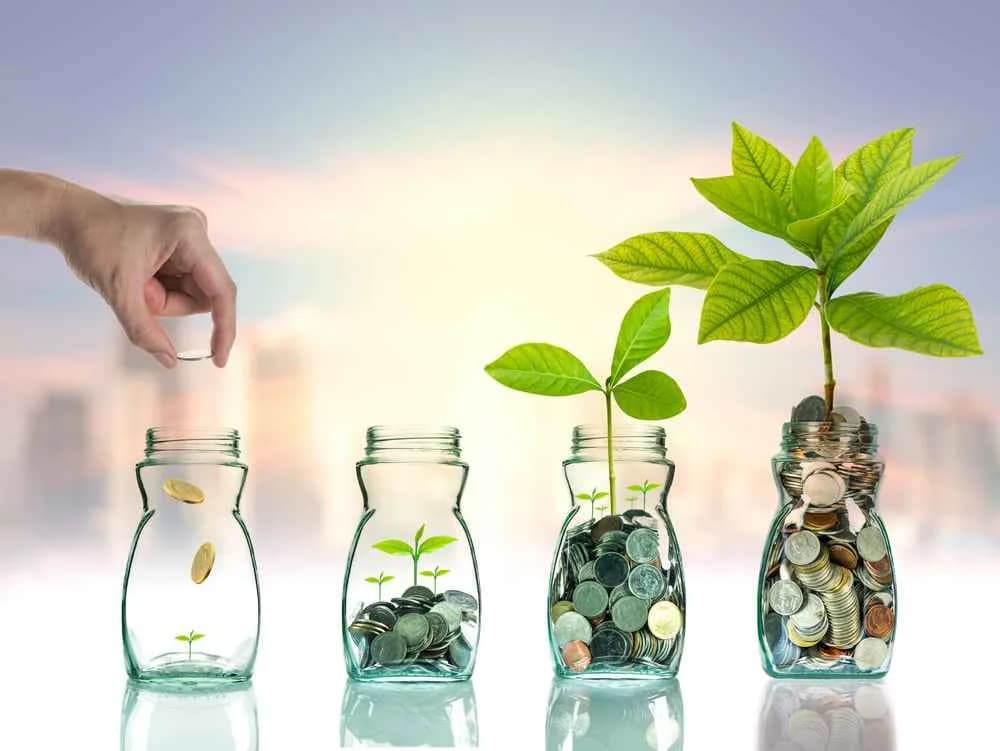 Patru borcane cu monede și plante de dimensiuni crescătoare ilustrează sprijinul financiar